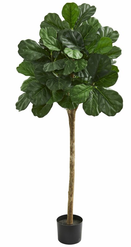 FAUX FIDDLE LEAF FIG TREE