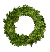 PRESERVED BOXWOOD MINI 10'' WREATH - Set of 2