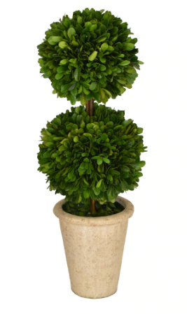 PRESERVED BOXWOOD TOPIARY