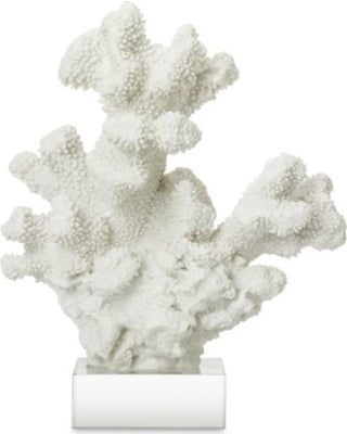 COLUMN CORAL